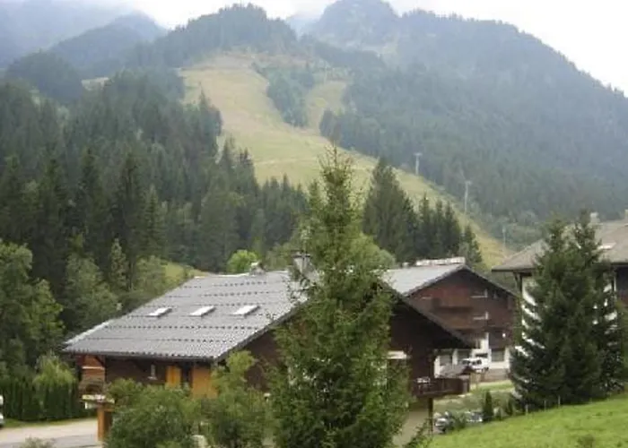A Chatel, Proche Des Pistes, 5 Pers, Parking Inclus - Fr-1-676-153 아파트