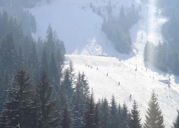 A Chatel, Proche Des Pistes, 5 Pers, Parking Inclus - Fr-1-676-153